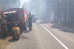 Виновник июньского лесного пожара на Молоковке получил полтора года исправительных работ