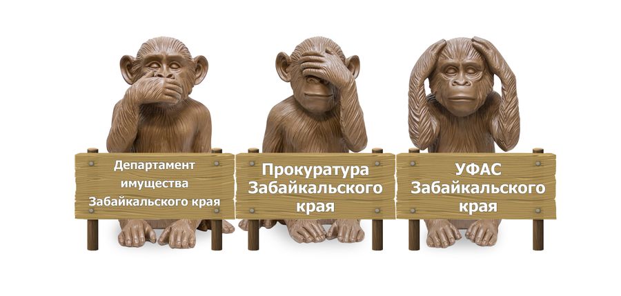УФАС, прокуратура, департамент имущества — где скрывается их совесть?