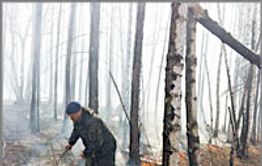 В Карымском районе Забайкалья некому тушить пожары
