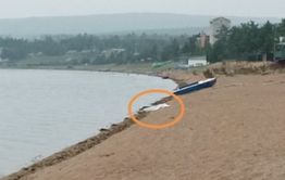 Труп неизвестного нашли на Арахлее около места, где хотели взорвать Осину