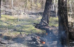 Жилой дом и заброшенные постройки сгорели в селе Неляты в Забайкалье