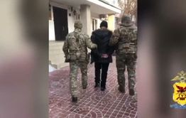 В Забайкалье завершено дело «черных лесорубов»