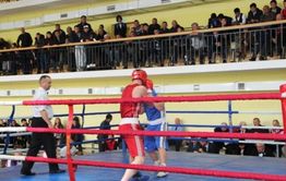 ​Спортзал для занятий боксом начнут строить в Чите в новом году