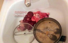 В микрорайоне Молодежный на КСК в квартире ели собак - соцсети