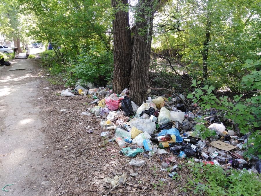 Общегородской субботник пройдет 26 августа в Чите