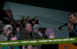 Вечорка ТВ: Народный бунт 3: «СИНТА-КЕДР» уходи! Мы хотим свой лес!