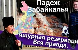 Вечорка ТВ: Падеж Забайкалья: ящурная резервация. Вся правда 