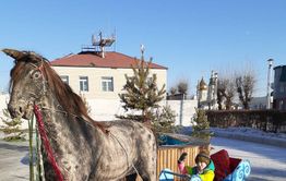 Жительница Агинского поблагодарила односельчан и властей за прекрасный ледовый городок
