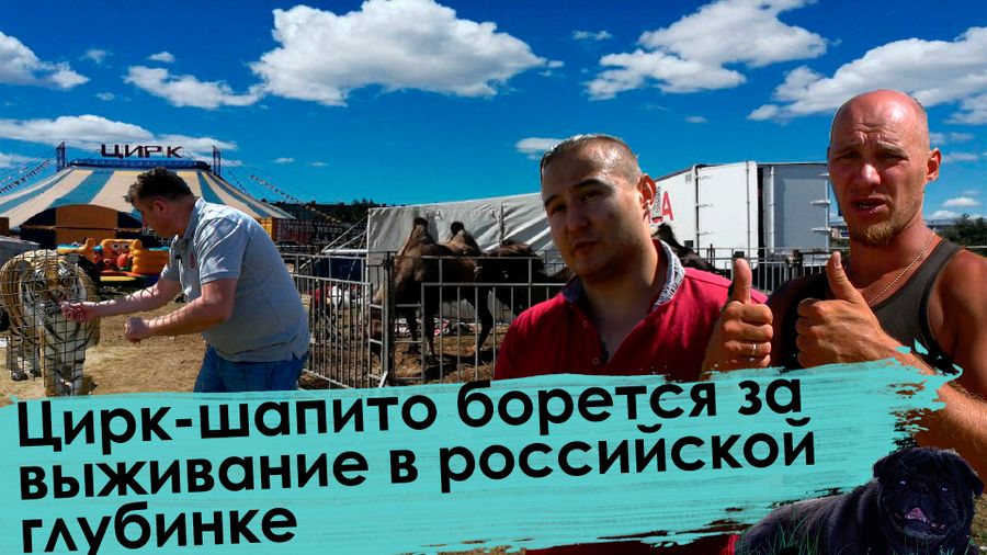 Вечорка ТВ: Тигру мяса не докладывают: Из-за коронавируса около двухсот цирков-шапито борются за выживание