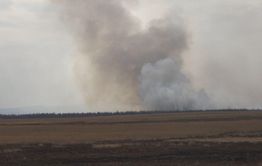 ​Более 50 человек тушат лесной пожар около Беклимишево