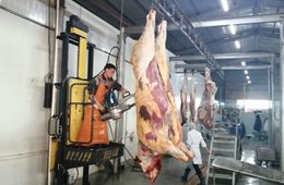 Необратимость: Как котлетка превращается в корову