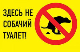 На площади Декабристов нельзя будет выгуливать собак. Вообще. Но это не точно.