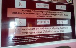 Бюллетени на выборах губернатора Забайкалья будут багулового цвета
