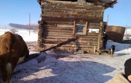 Жители Чикичея пьют воду с мышьяком!