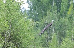 В дачных кооперативах Забайкалья электричество отключают почти каждый день