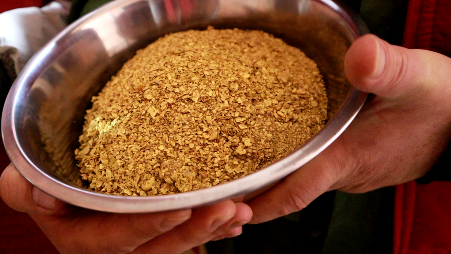 В Забайкалье из машины «Спецсвязи» вынесли 60 кг золота