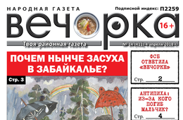 «Вечорка» № 14 (411): ФСБ отвечает газете, почему не сел Михалев и кто такие тупикчане?