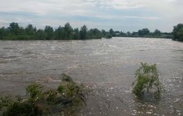 В реке Читинка утонули мужчина и ребенок