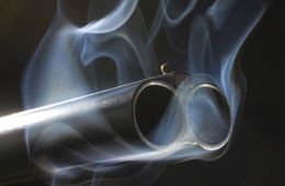 79-летний житель Балея после новогоднего застолья застрелил жену