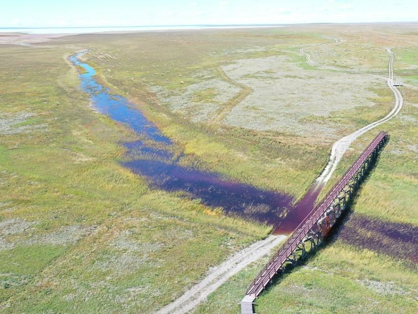В Забайкалье ожило озеро Зун-Торей
