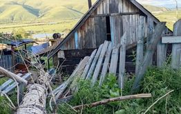 Ураган повалил тополь в селе Дунаево в Забайкалье