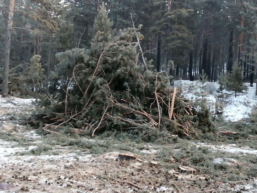 Земля по блату