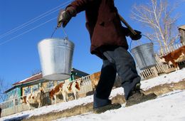 В частном секторе Чернышевска отменили подвоз воды