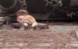 Приближаем победу вместе!