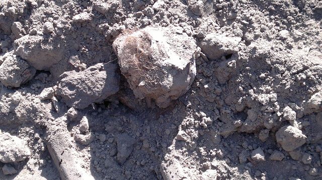 Школу в Большой Туре строят на месте старого кладбища