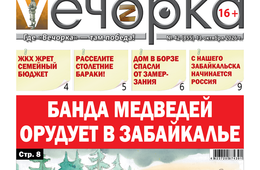 «Вечорка» № 43: Банда медведей орудует в Забайкалье