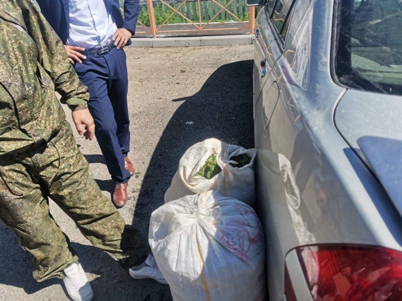 Забайкальца задержали с 30 килограммами конопли 