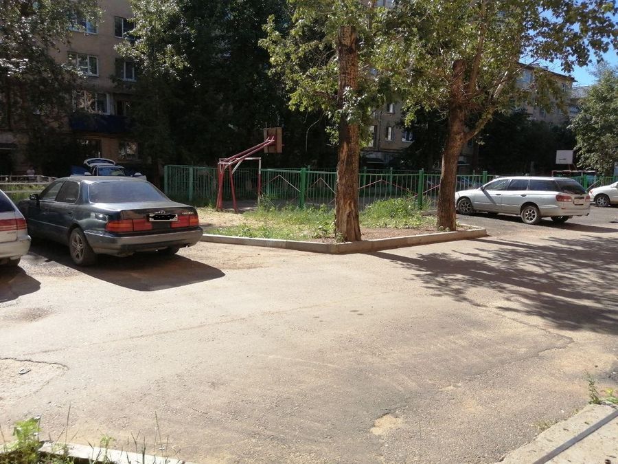Читинка еле успела спасти ребенка от своры бродячих собак в центре города