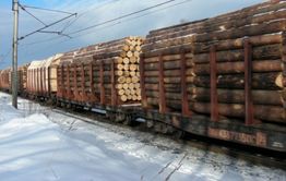 Пять лет колонии – за контрабанду леса на миллиард рублей 