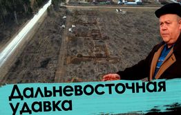 Дальневосточная удавка: Лес вырубят, гектары продадут, Путин не узнает.