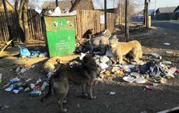  Очередная свалка мусора выросла в Чите