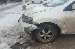 Клыкастое гетто: Бездомные собаки изуродовали машины жителей Читы (видео)