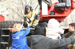 Два тойтерьера спасены из-под завалов взорвавшегося в Чите дома