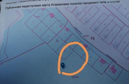 Атамановке опять угрожают лесорубы