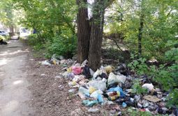 Общегородской субботник пройдет 26 августа в Чите
