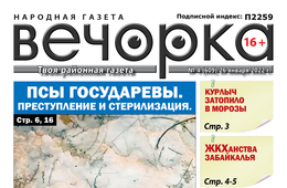 «Вечорка», № 4: Псы государевы. Преступление и стерилизация.
