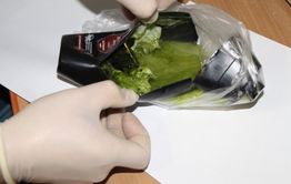 Женщина пыталась передать наркотики в одну из колоний Забайкалья — запрещенное вещество нашли в флаконе из-под шампуня 