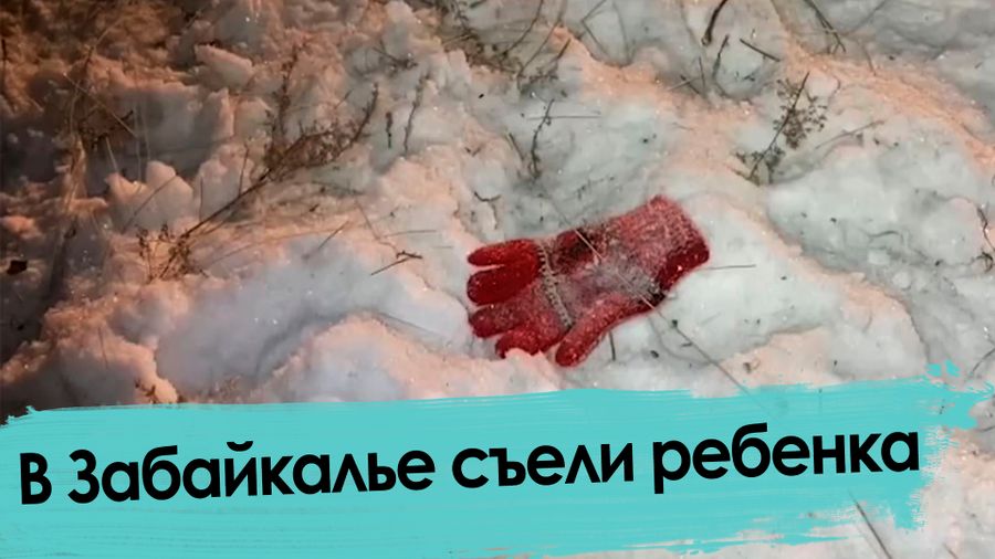 Собаки загрызли 7-летнюю девочку в селе под Читой