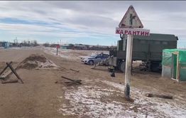 В забайкальском селе хотят изъять скот из-за вспышки узелкового дерматита