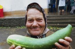 Шок: огурцы в Забайкалье подешевели за неделю на 2%. Читатели «Вечорки» не верят, доктор Попов по-прежнему рекомендует смачивать их слюной и вставлять в задний проход.