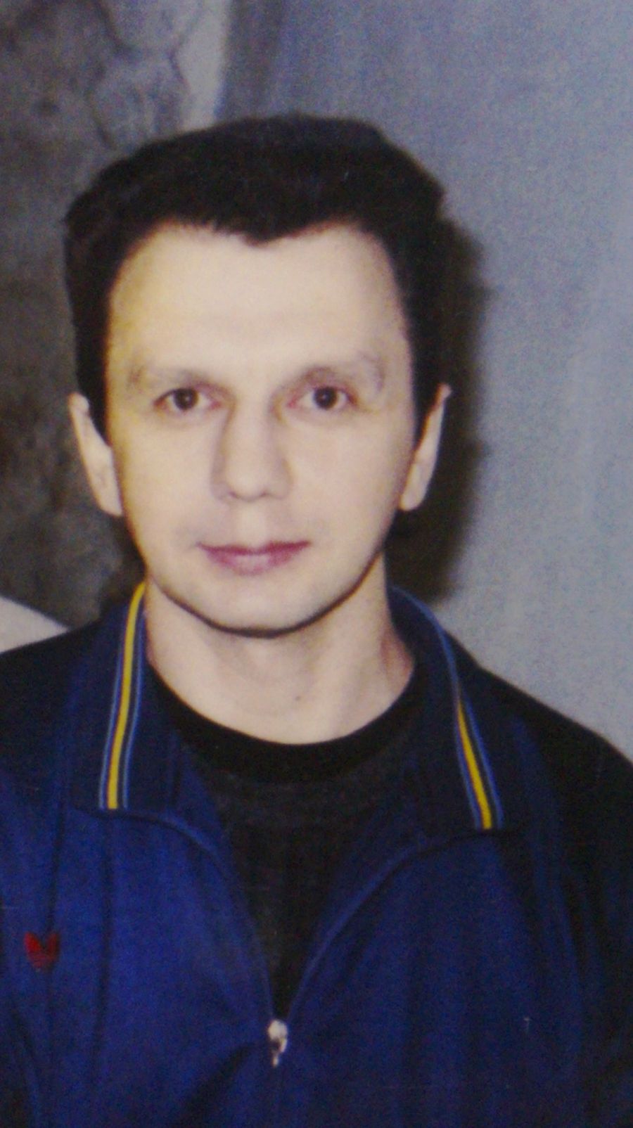 Медведица
