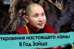 Почему Год Зайца? Ликбез от Батор-ламы