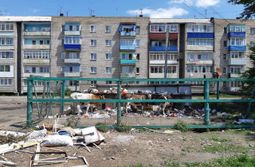 Шилка. Урбанизированное пастбище.
