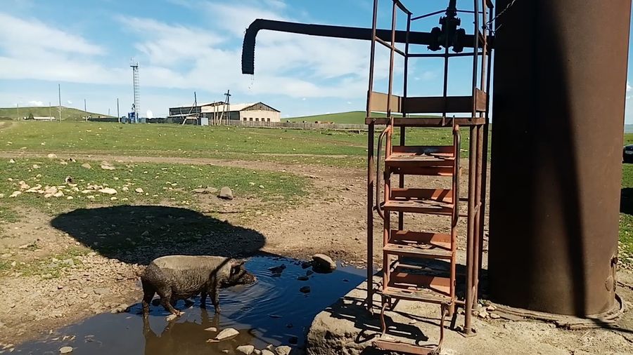 «Разводы» на воде