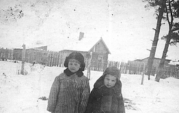 Про Шевелевых из Брянской области