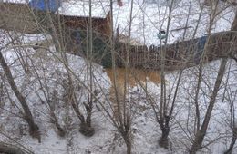 Читинцы устроили помойку под окнами соседей. Это плохо пахнет